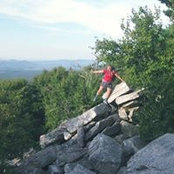 Sarah Kibbe's photo