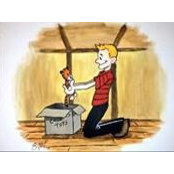 Matt Kelly's photo
