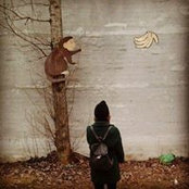 Света Хмельницкая's photo