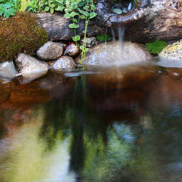 Pasadena Showcase House 2014 | Creekside Spring House