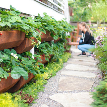 Hanging Strawberry Planters