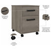 City Park 2 Drawer Mobile File Cabinet in Driftwood Gray - Engineered Wood