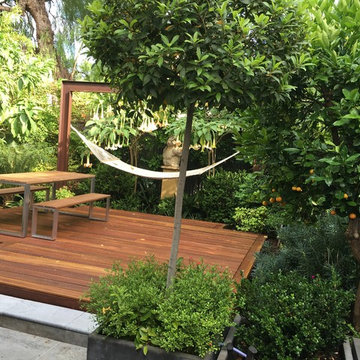 North Adelaide - Rear Courtyard Garden