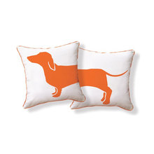 dachsund everywhere