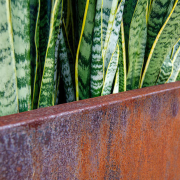 Corten Steel Planters