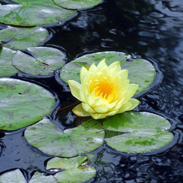 The Beauty of Mother Nature