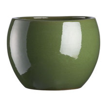 plant pots