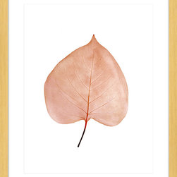 Fragile Leaves Collection - Framed Art Prints (FRAG02) - Artwork