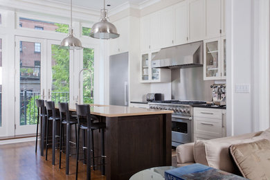 Kitchen - transitional kitchen idea in Miami