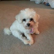 Jacqueline Rizzo's photo