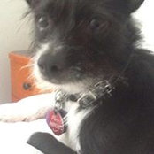 Trish Porter Neill's photo