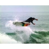 Jeff Morris's photo