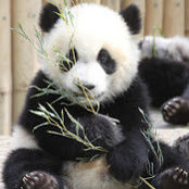 Wendy Cheung's photo