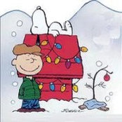 Toni Morin's photo