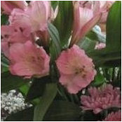 Foto von Cathleen Mott