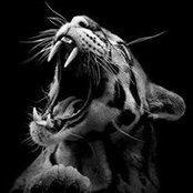 Julie Blanchette's photo