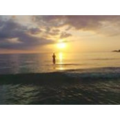 Tom Wang's photo