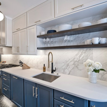 Stately Blue and White Kitchen in Historic Stanton Park