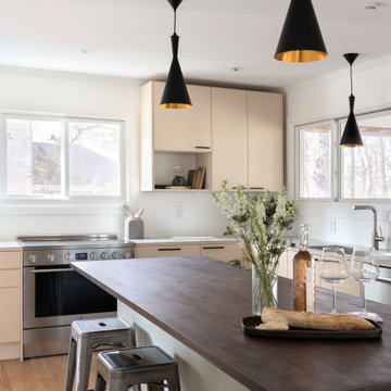 Eco-friendly cabinetry renovation