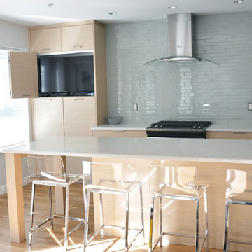 Modern Minimalist Kitchen