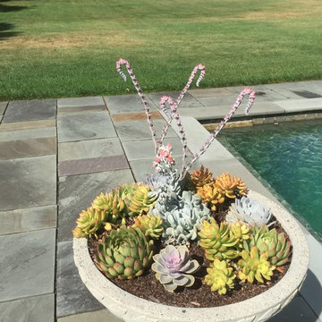 container gardens
