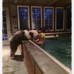 Original Endless Pools&reg; - Lifestyle And Leisure