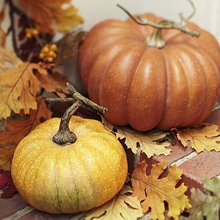 Fall