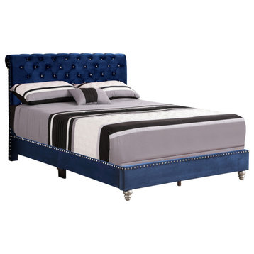 Maxx Tufted Upholstered Full Panel Bed, Navy Blue