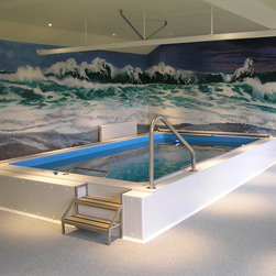 Original Endless Pools&reg; - Products