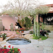 Desert Garden