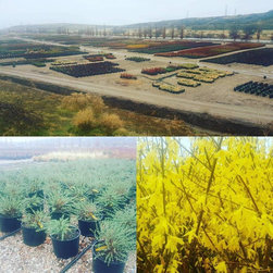 Nursery - Outdoor Products