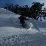Foto von Teegan Smith