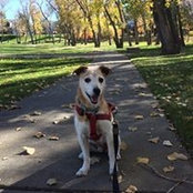 Dawn Kramer's photo