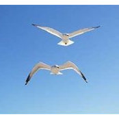 Cathy Gilbert's photo