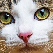 Nadia Farotti's photo