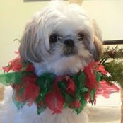 Maureen Munio Autieri's photo