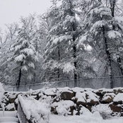 Carina Singh's photo