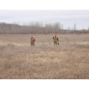 Stanford Reinke's photo
