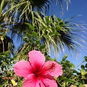 Foto de Michelle Stuart