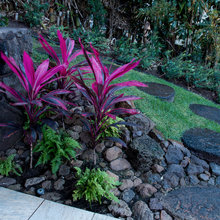 Backyard plants