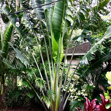 Backyard Pool Buffer