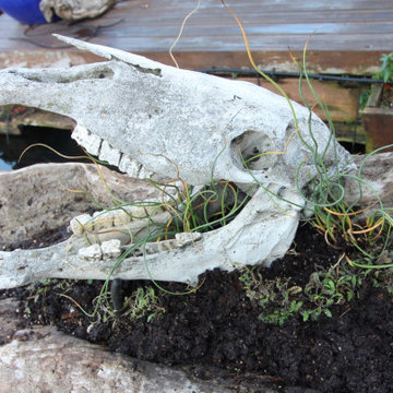 Gardening on a houseboat