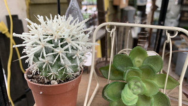 ガーデニング 園芸用品店 人気ベスト15 Houzz ハウズ