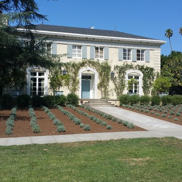 Lawn Replacement
