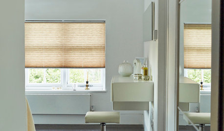 Should I Choose Pleated Blinds for my Windows?
