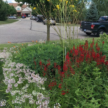 Compilation of Rain Garden Projects
