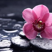 Dena Pourrahman's photo