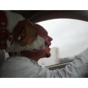 Joe Kuehn's photo