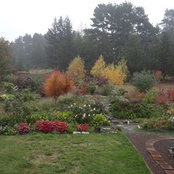 Kay Deckert's photo
