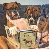 Foto von Cathy Martin